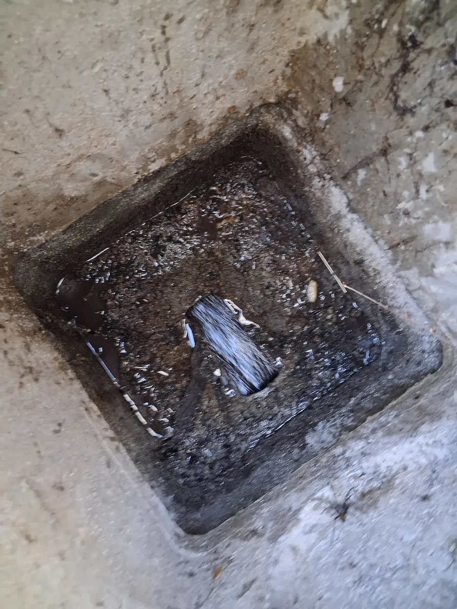 Regard d'un bâtiment après curage et débouchage à L'Isle-d'Abeau : l'eau s'écoule de nouveau