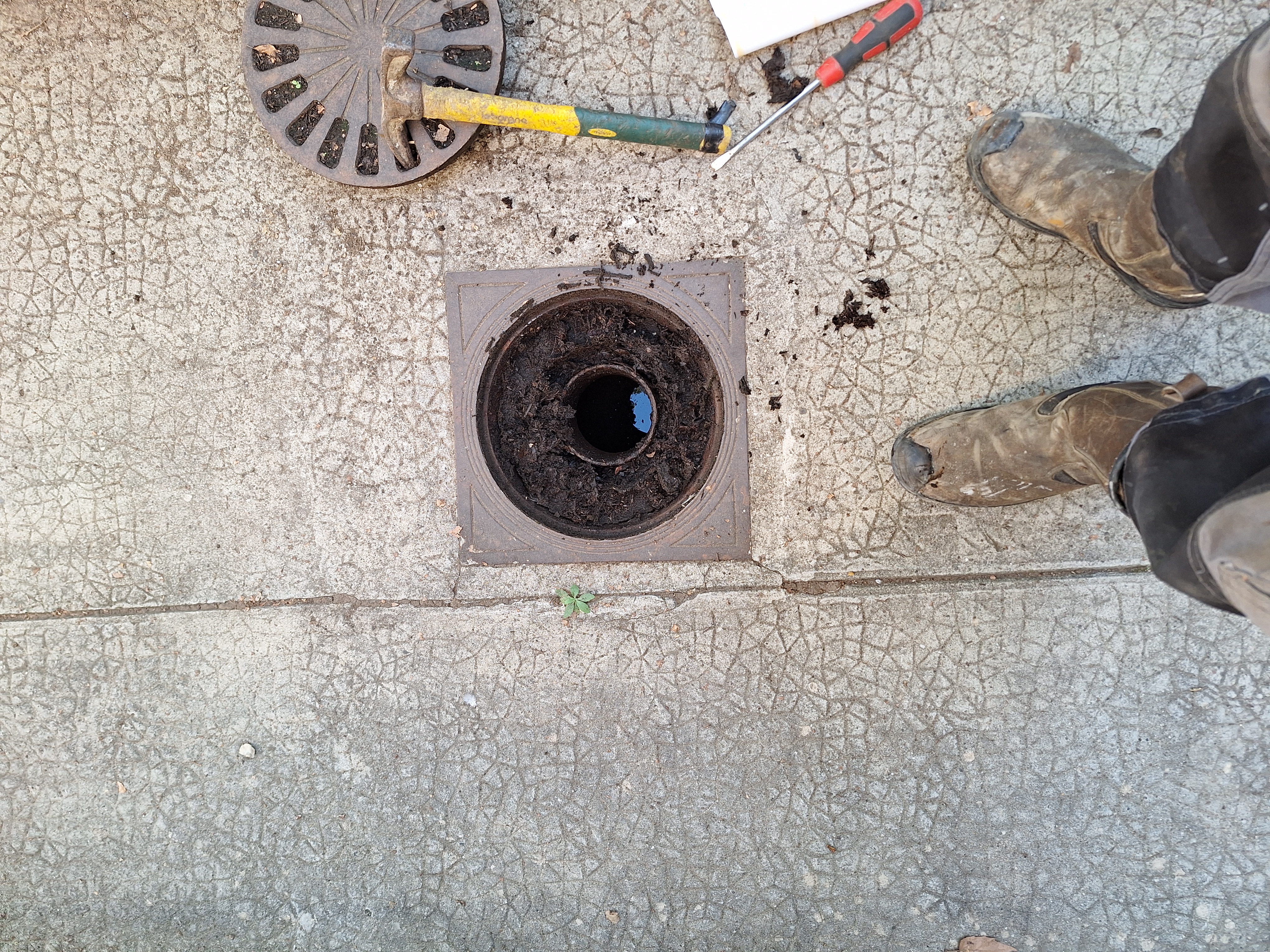 Inspection caméra canalisation Genay 69730
